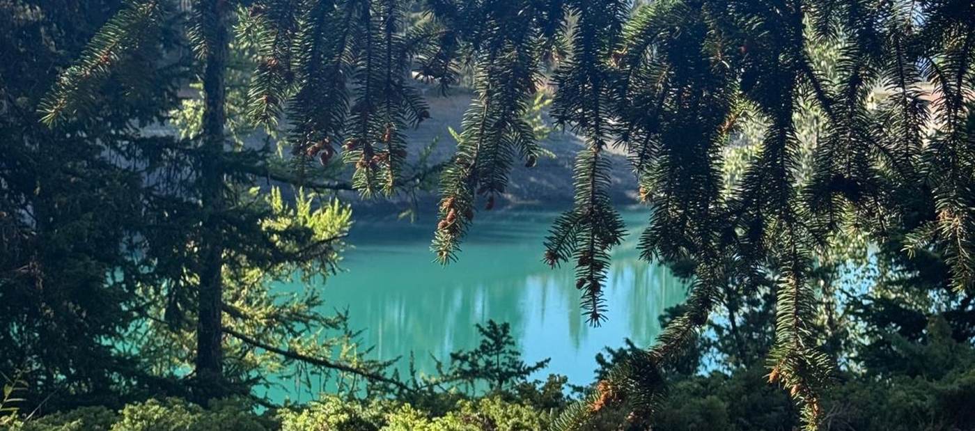 A lake in Crans-Montana among the larches, facing the Valais Alps